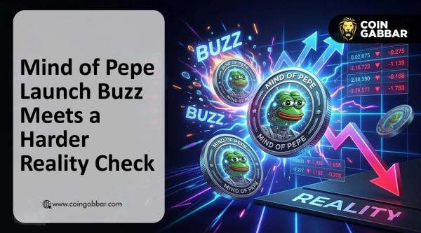 Mind of Pepe After Launch: Real Utility or Meme Coin Noise?