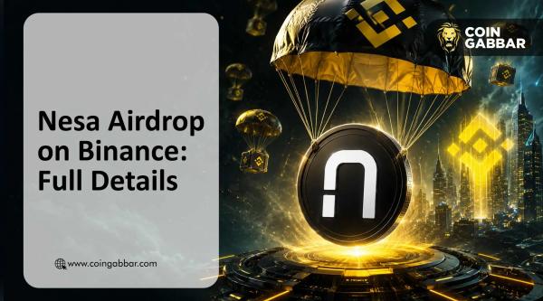 Nesa Airdrop Goes Live Today on Binance: What Next for NES Token?