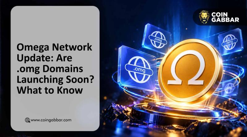 Omega Network Update on ONS integration and .omg domains