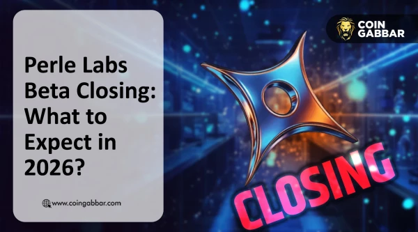 Perle Labs Beta Phase Closing: