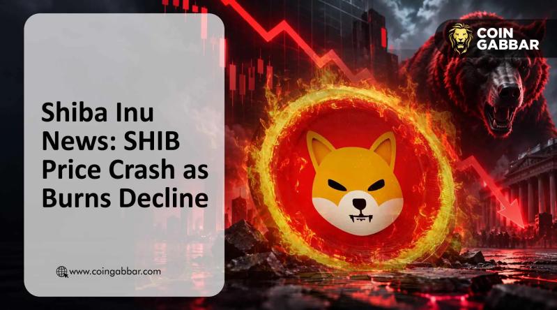 Shiba Inu news today SHIB price crash and burn rate drop