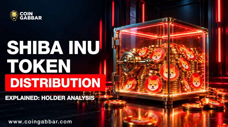 Shiba Inu Token Distribution Explained: Holder Analysis