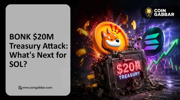 Solana Meme Coin BONK Treasury Drained of $20M: What's Next for SOL?