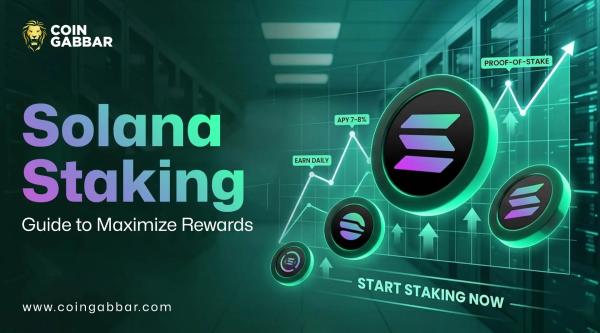 Solana Staking Guide to Maximize Rewards