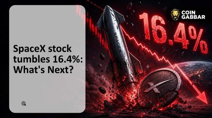 SpaceX Shares Plunge 16%, Erase $600 Billion in Three Straight Days