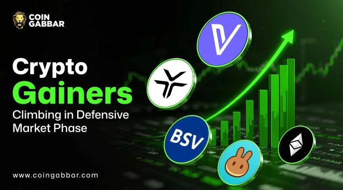 Crypto Gainers Climbing in Defensive Market Phase