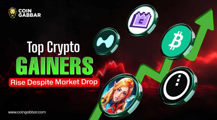 Top Crypto Gainers Rise Despite Market Drop