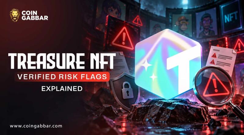 Treasure NFT Verified Risk Flags Explained