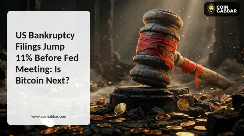 US Bankruptcy Filings banner