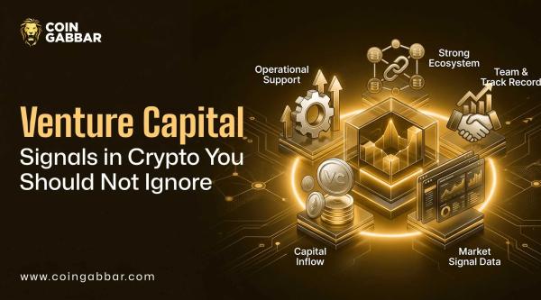 venture capital crypto guide risks and checks