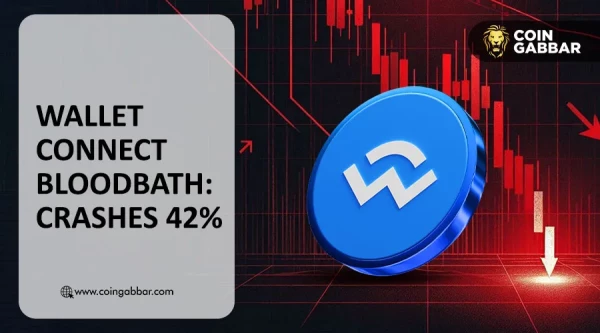 WalletConnect token price crash chart showing 42% drop in May 2025