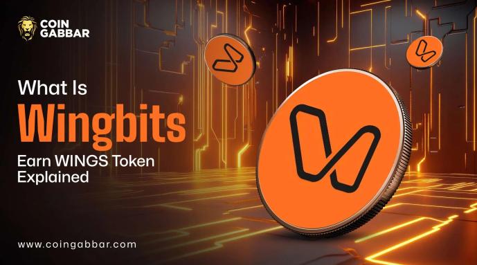 What Is Wingbits? Earn WINGS tokens Explained