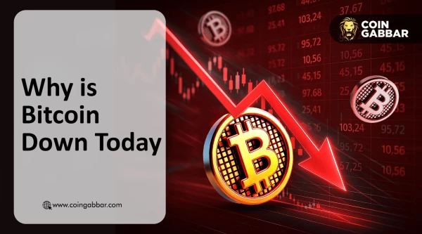 Why is Bitcoin Down Today