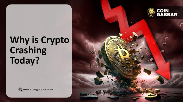 Why Is Crypto Crashing Today?