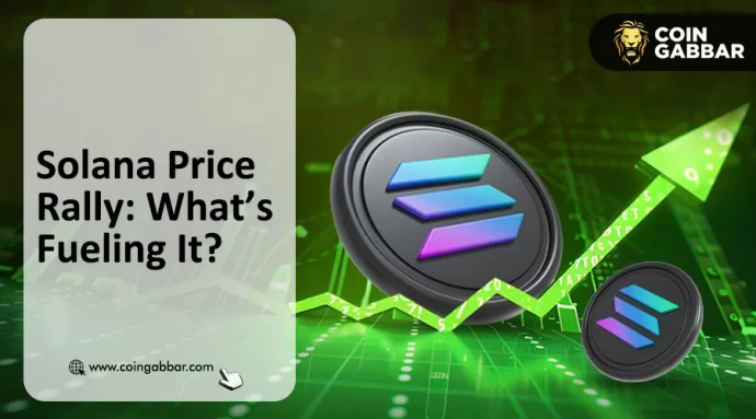 Solana Price Increase: What's Next?