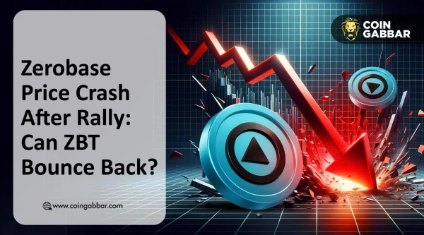 Zerobase Price Crash After Rally: Can ZBT Bounce Back?