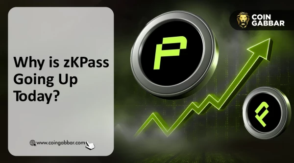 What Behind the zKPass Price Surge?