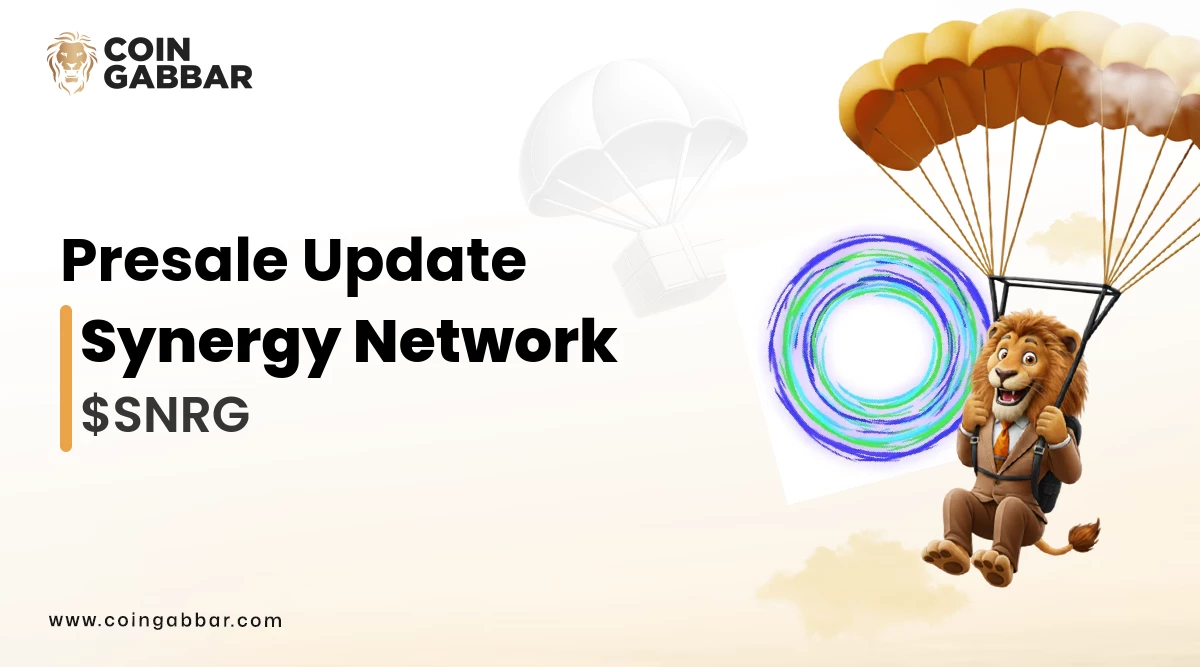 Synergy Network Crypto Presale Overview