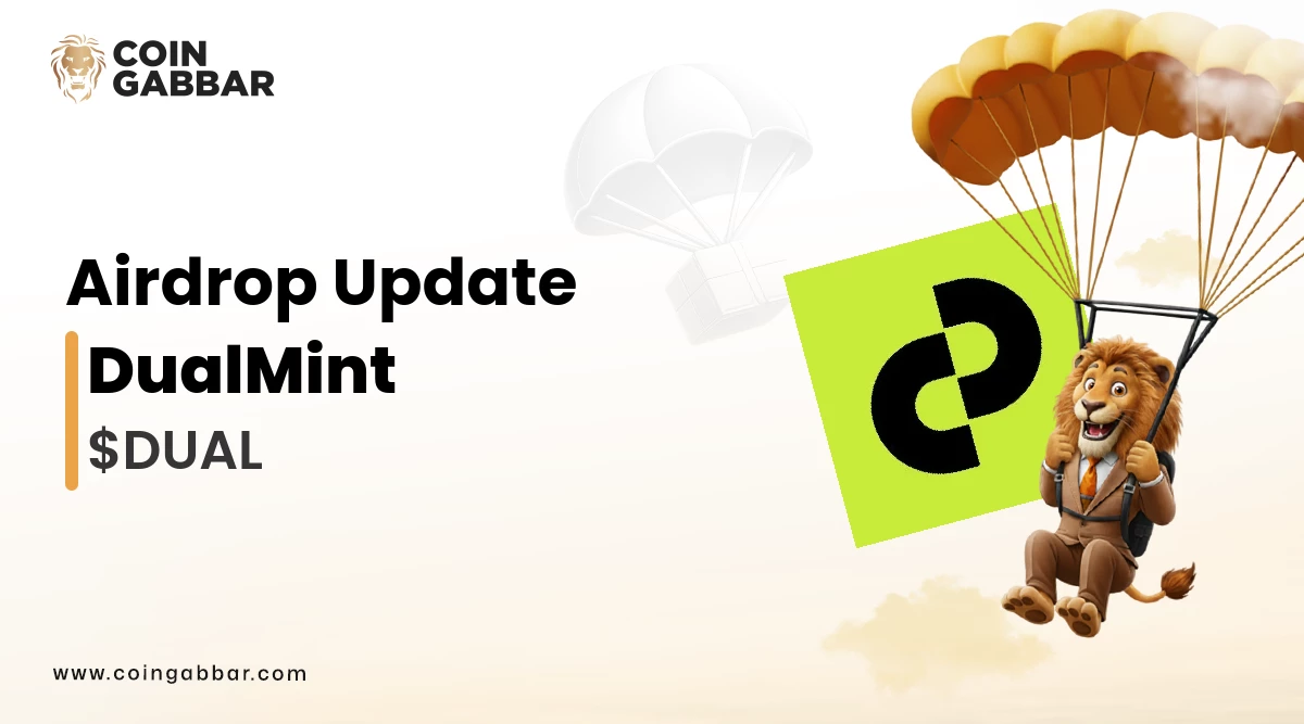 DualMint Web3 Finance