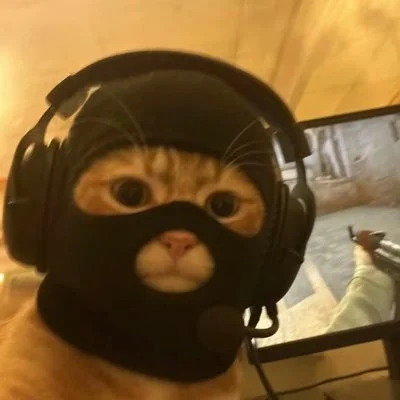 CatWifMask ($MASK)