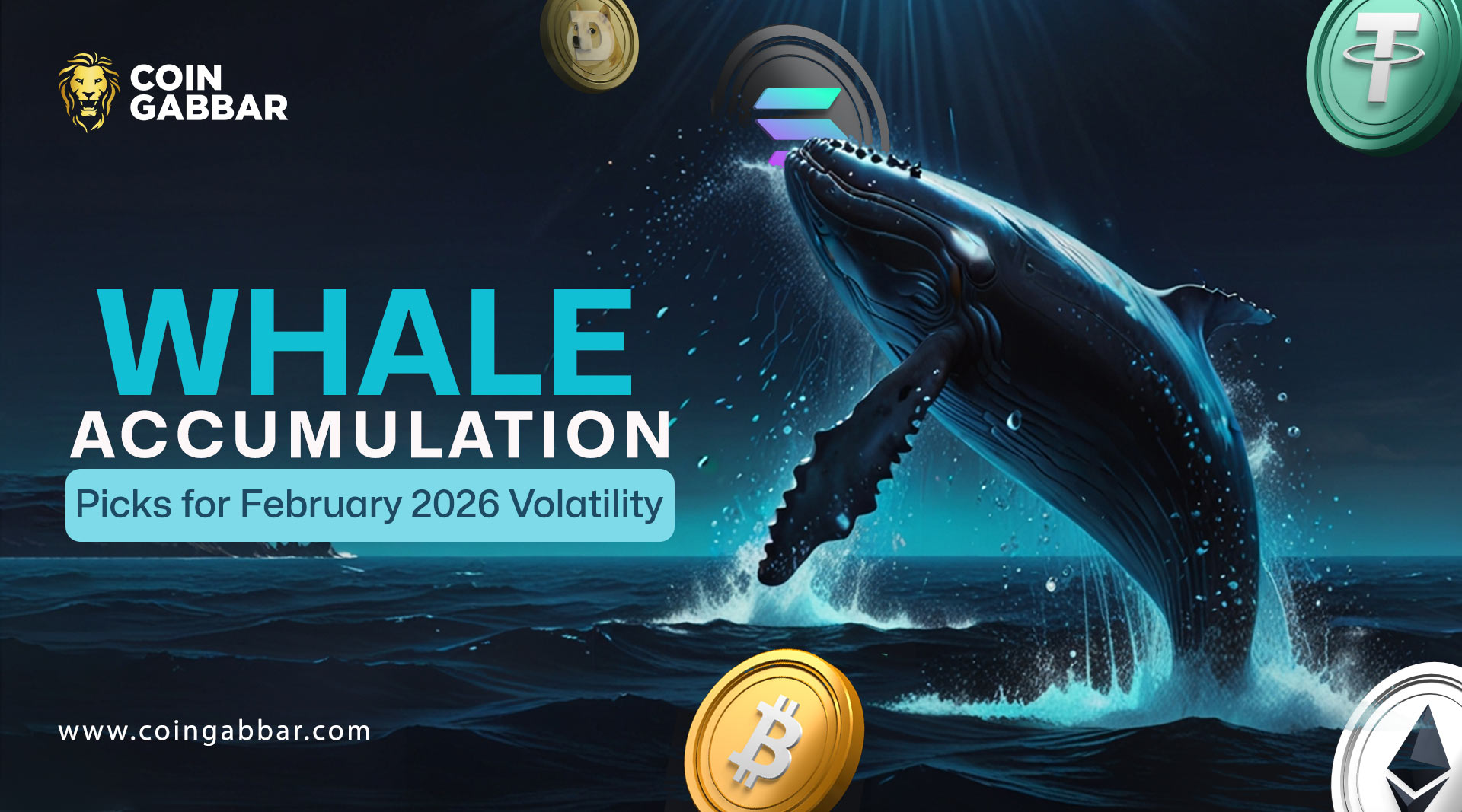 Understanding Whale Accumulation