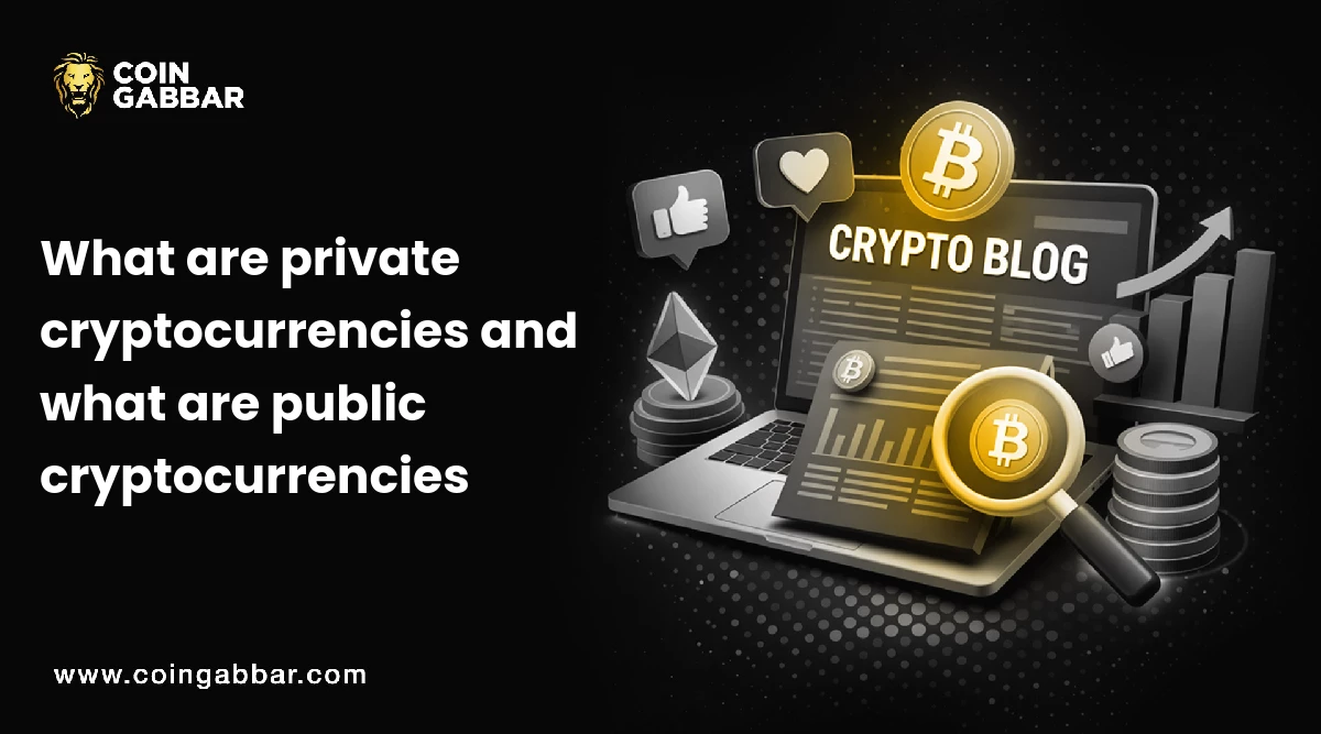 What are private cryptocurrencies and what are public cryptocurrencies