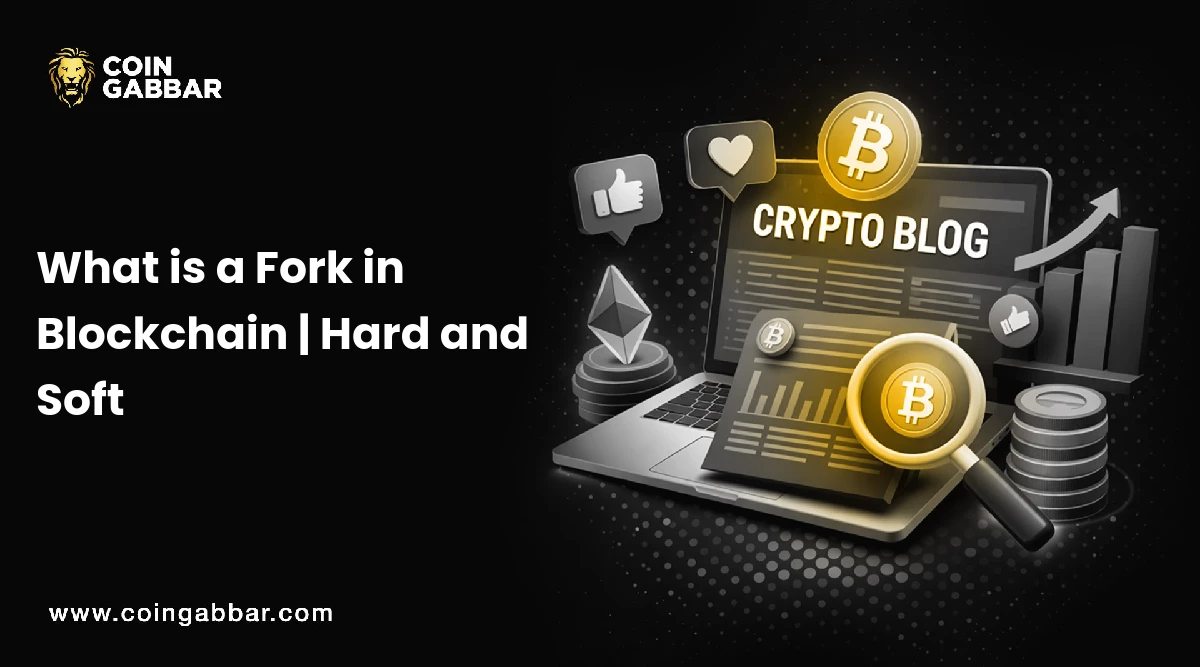 Understanding Blockchain Forks