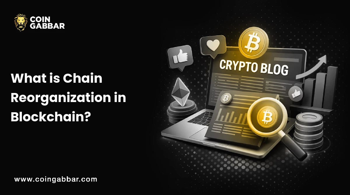 What is Chain Reorganization in Blockchain?