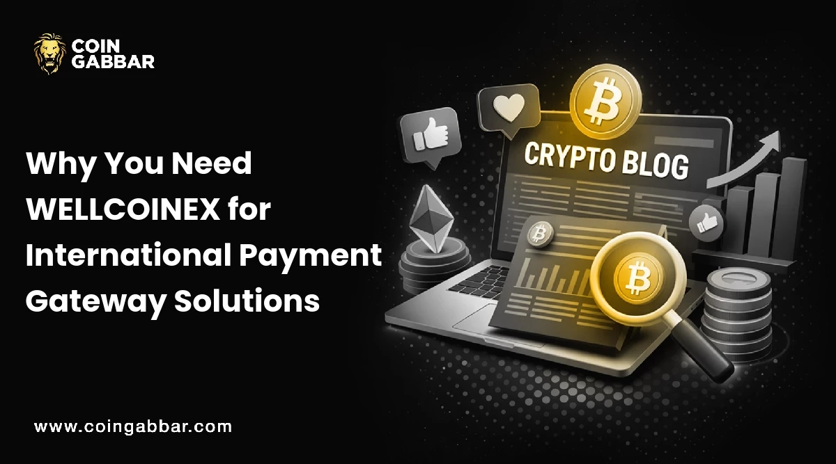 Why You Need WELLCOINEX for International Payment Gateway Solutions