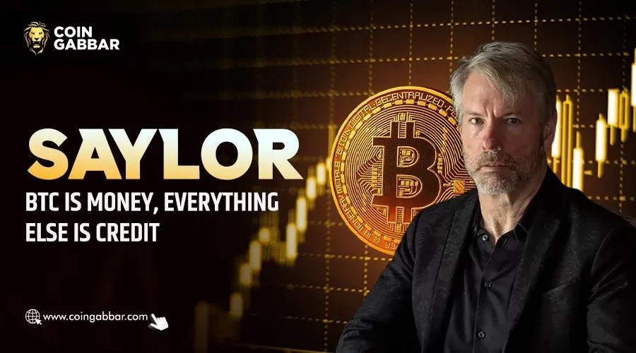Michael Saylor Bitcoin Strategy: Tweets It is the Only Money
