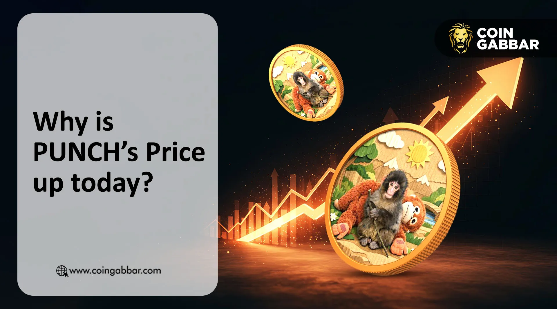 Why is PUNCH Up 200 Percent Today?