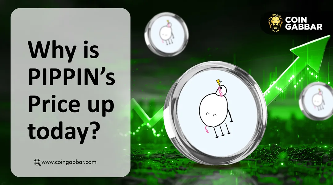 Why Is PIPPIN Up Today While Market Is Red?