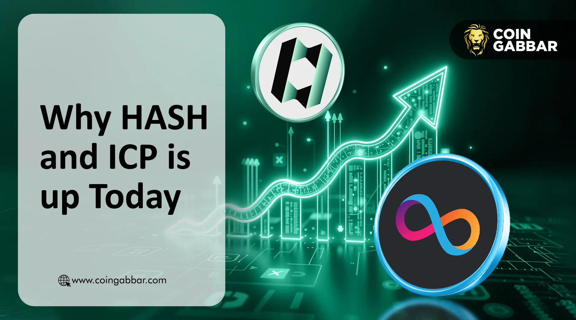 Why Hash and ICP Prices Are Rising Today