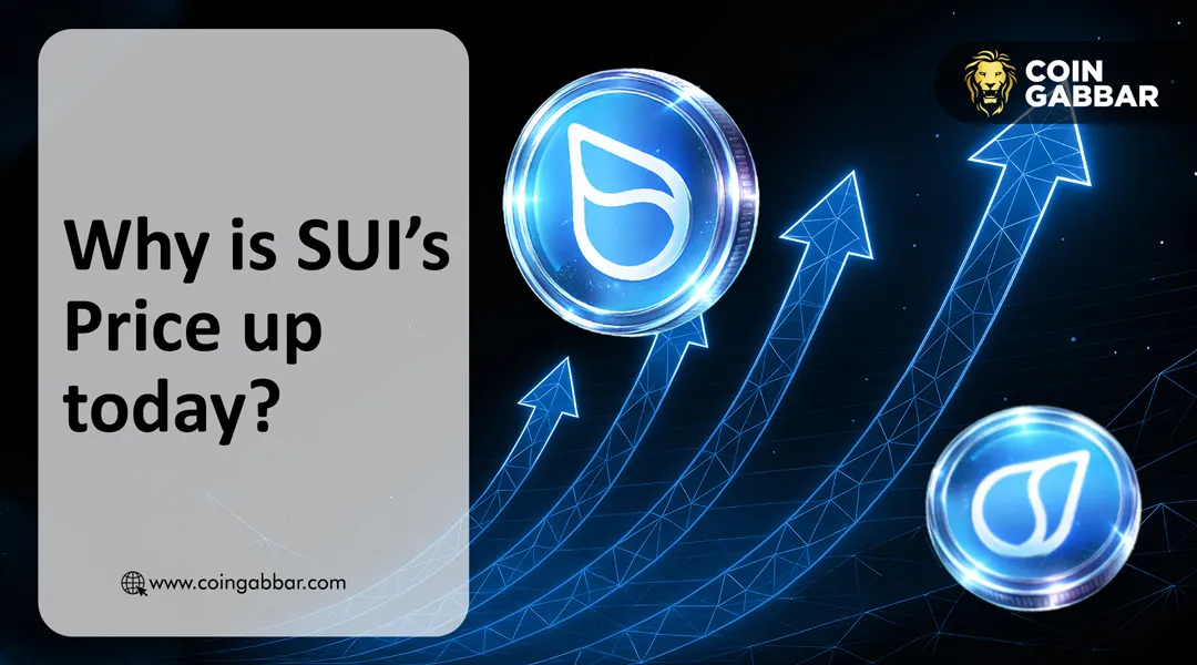 SUI Price Prediction: The Stripe Secret Boosting SUI Price Today?