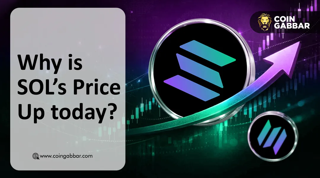 Why Is SOL Price Up Today? Solana Rally and 6th Anniversary Momentum